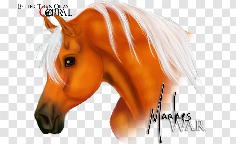 Mustang Stallion Halter Desktop Wallpaper Freikörperkultur - Yonni Meyer Transparent PNG
