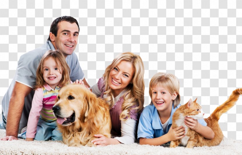 South Howard Animal Clinic Carpet Cleaning Family - Stock Photography Transparent PNG