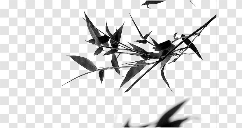 China Bamboo Ink Brush Photography - Monochrome Transparent PNG