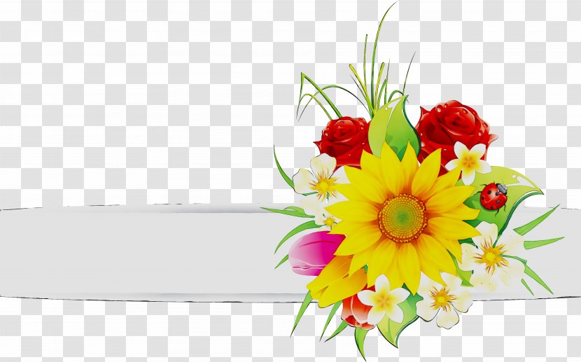 Cut Flowers Transvaal Daisy Floral Design Flower Bouquet - Love - Flowering Plant Transparent PNG