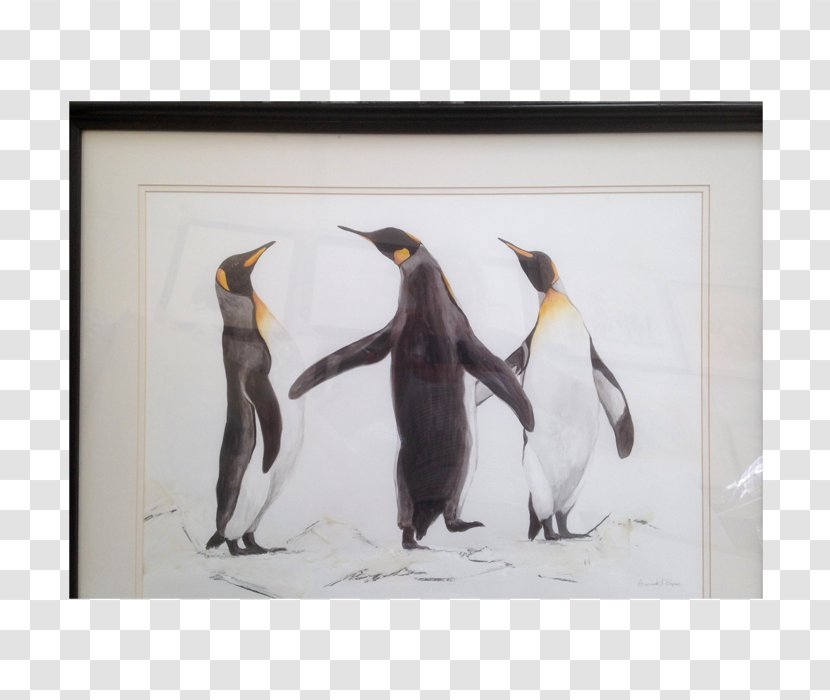 King Penguin Flightless Bird Beak - Family Gathering Transparent PNG