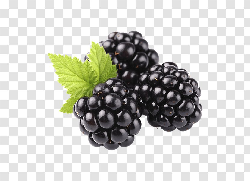 Blackberry Pie Fruit Transparent PNG