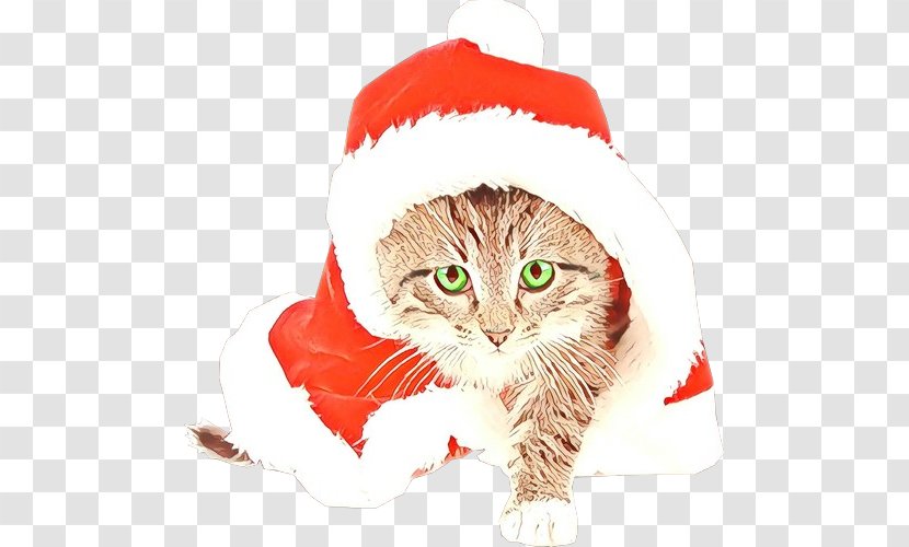 Santa Claus - Cat - Kitten Norwegian Forest Transparent PNG