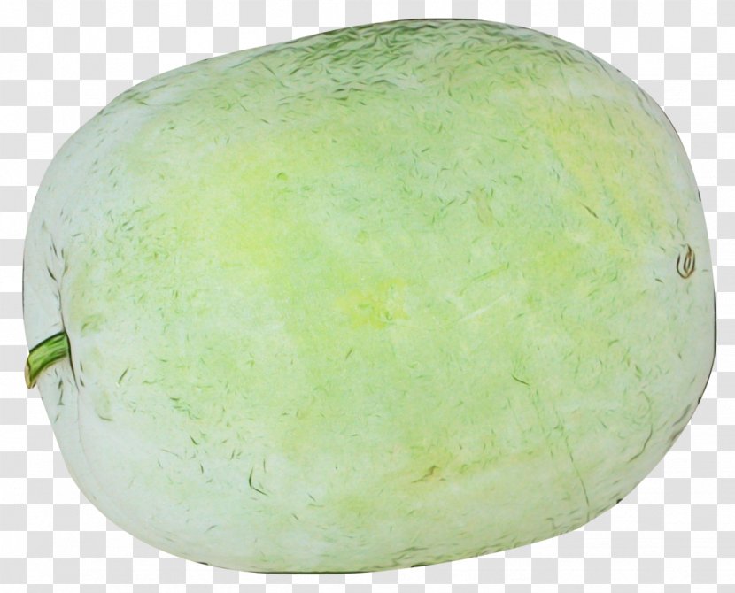 Watermelon Cartoon - Winter Melon - Honeydew Transparent PNG