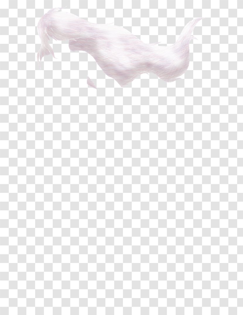 Dog White Canidae H&M Mammal - Like Transparent PNG