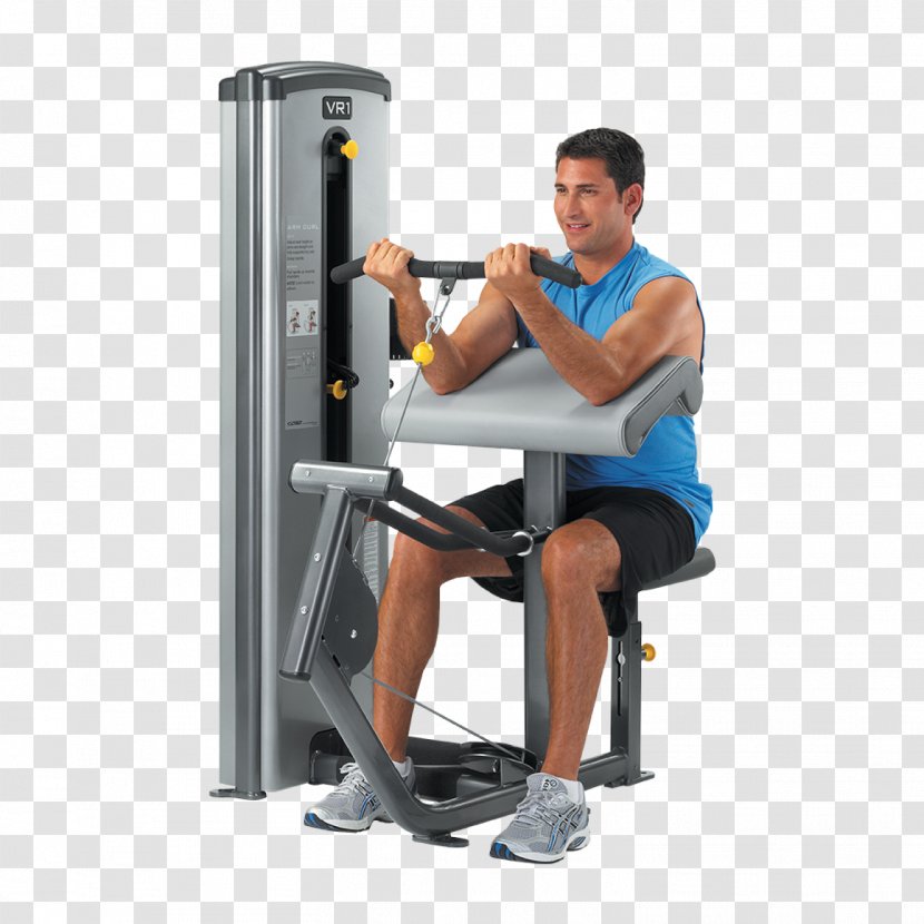 Physical Fitness Biceps Curl Exercise Equipment Centre - Watercolor - Bicep Curls Transparent PNG