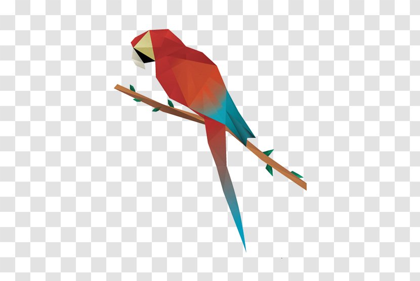 Hummingbird Parrot Polygon Geometry - Drawing - Bird Transparent PNG