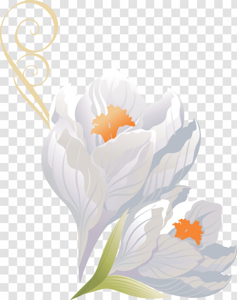 Flower PhotoScape - Floristry - Crocus Transparent PNG