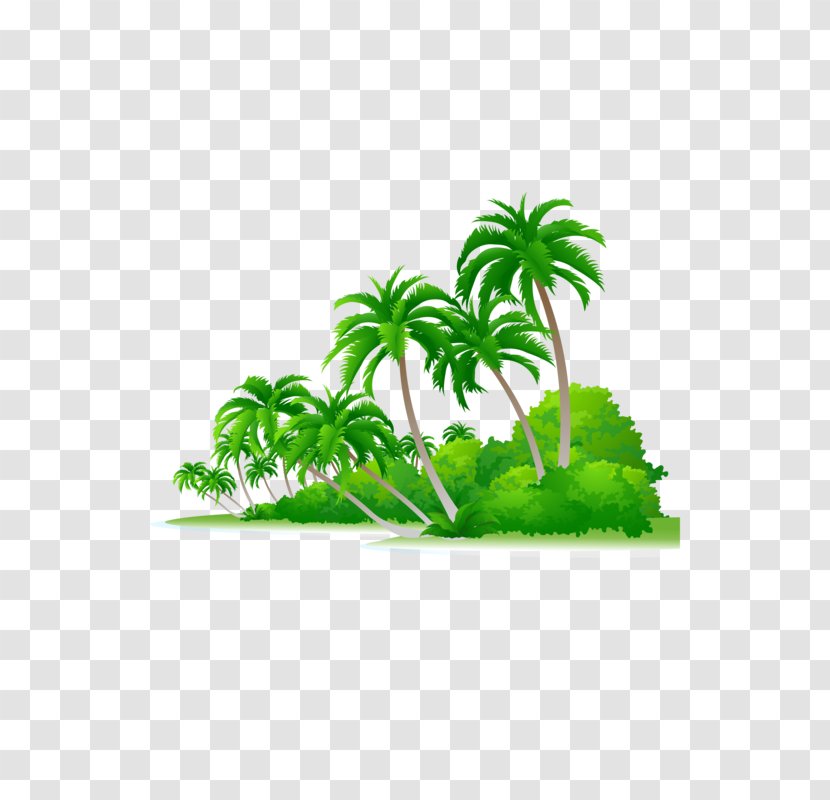 Vector Graphics Euclidean Image Illustration Clip Art - Palm Tree - Beach Coconut Transparent PNG