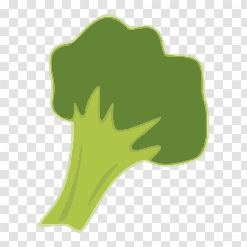 Broccoli Clip Art - Vegetable Transparent PNG