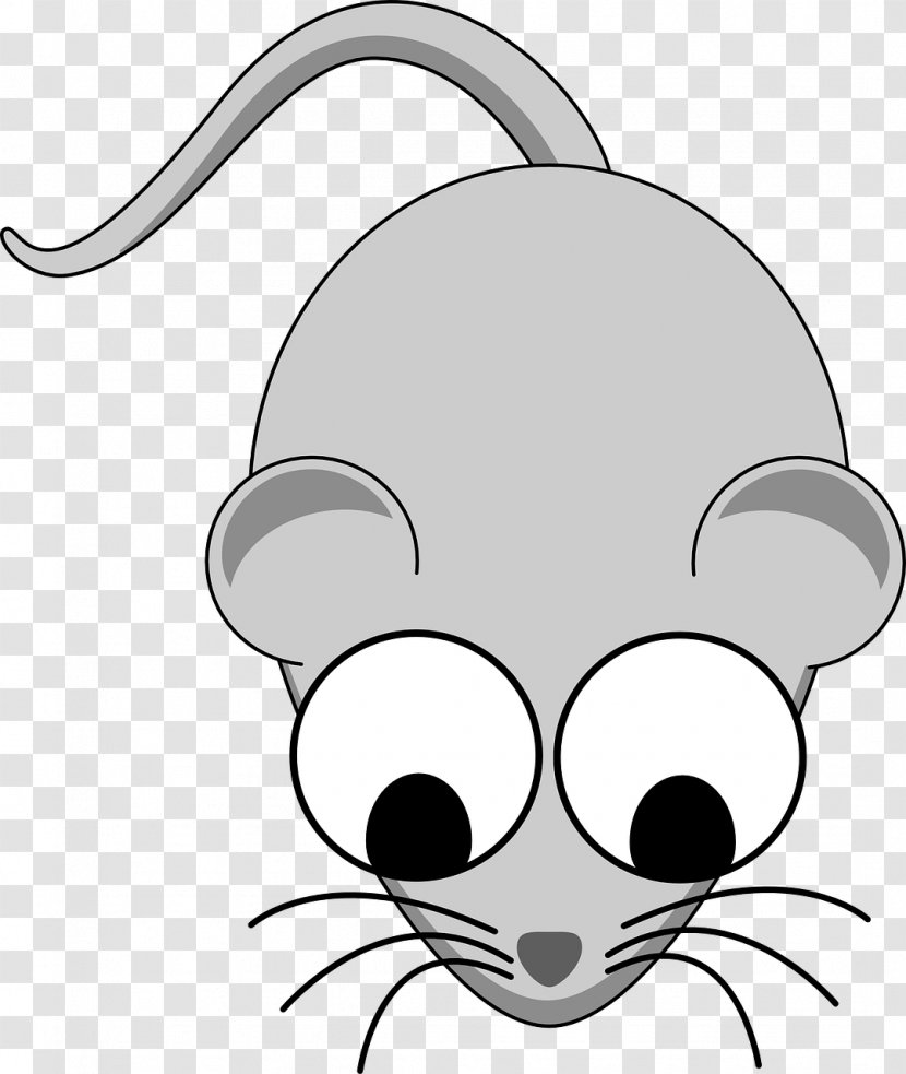 Computer Mouse Rodent Clip Art - Cat - Rat Transparent PNG