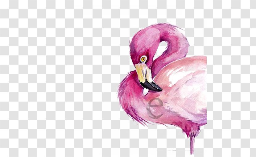 Watercolor Painting Flamingo Drawing - Art Transparent PNG