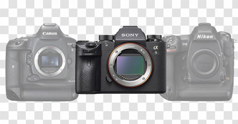Sony α7R II Canon EOS-1D X Mark Mirrorless Interchangeable-lens Camera Full-frame Digital SLR - Eos1d Ii Transparent PNG