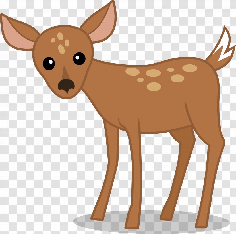 White-tailed Deer Reindeer Pony Clip Art - White Tailed Transparent PNG