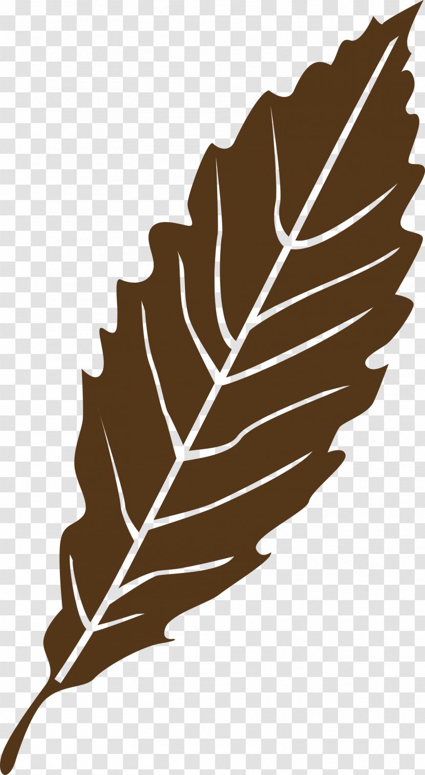 Leaf Transparent PNG