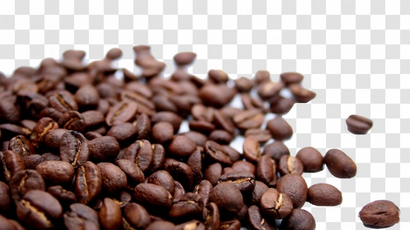 Chocolate-covered Coffee Bean Cafe Irgachefe - Substitute Transparent PNG