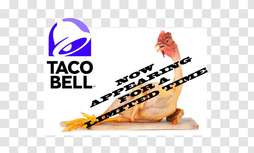 Taco Bell Mexican Cuisine KFC Burrito - Tomyum Transparent PNG