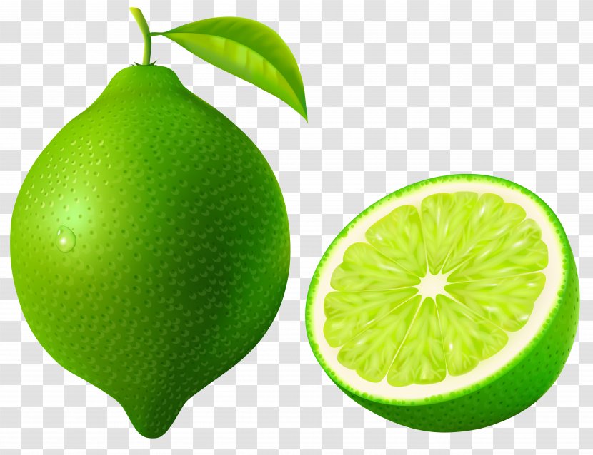 Persian Lime Lemon-lime Drink Key - Pomelo - Green Vector Clipart Image Transparent PNG