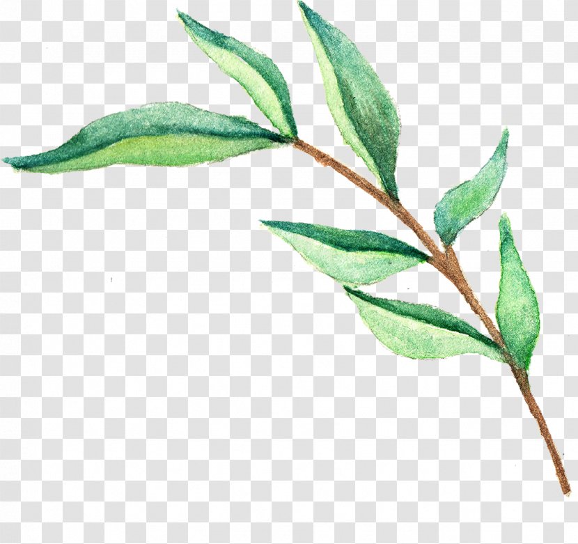 Wedding Invitation Leaf Watercolor Painting Green - Plant Stem - Leaves Transparent PNG