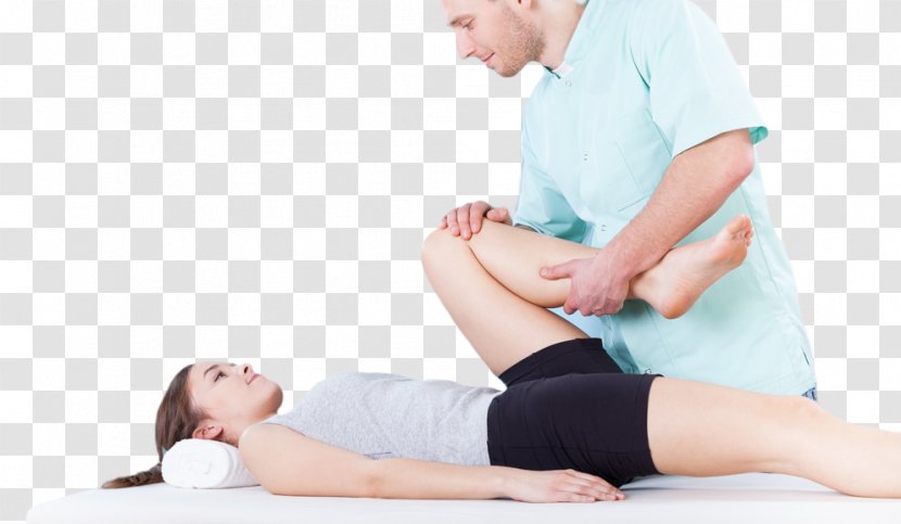 Physical Therapy Hip Fitness Health Care - Cartoon Transparent PNG