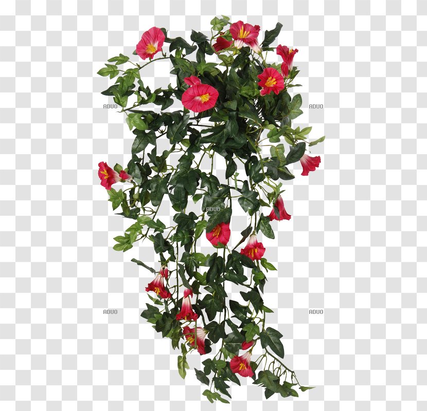 Garden Roses Cut Flowers Plant Vine - Sange Transparent PNG