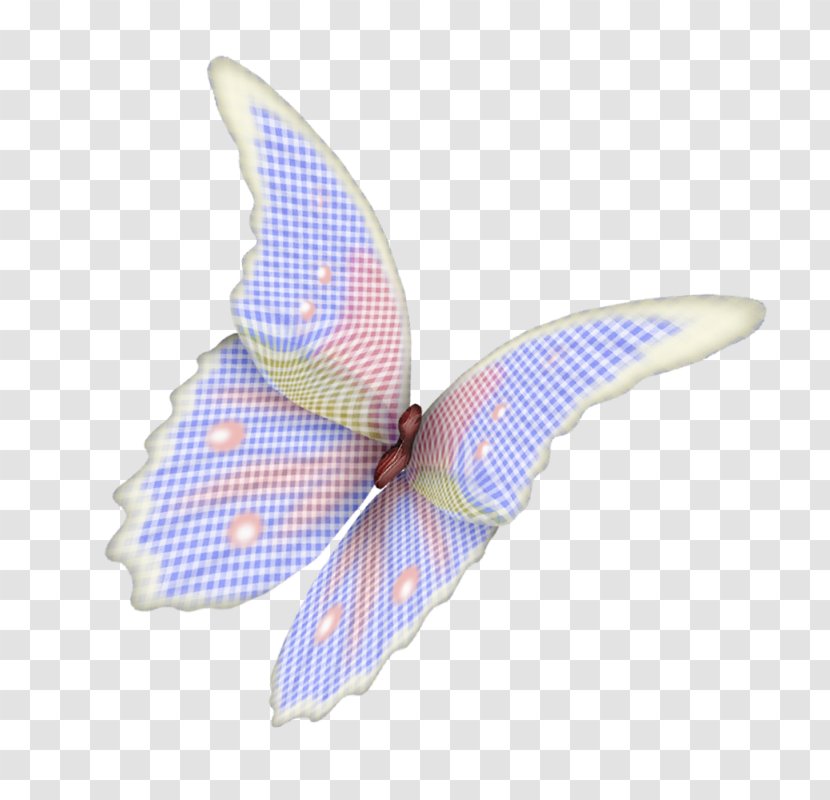 Butterfly Insect Wing Shoelace Knot Pollinator - Computer Transparent PNG