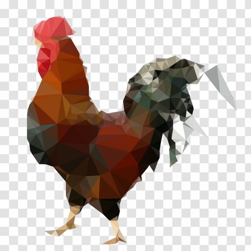 Rooster Chicken Animal Cage Pet - Bird Transparent PNG