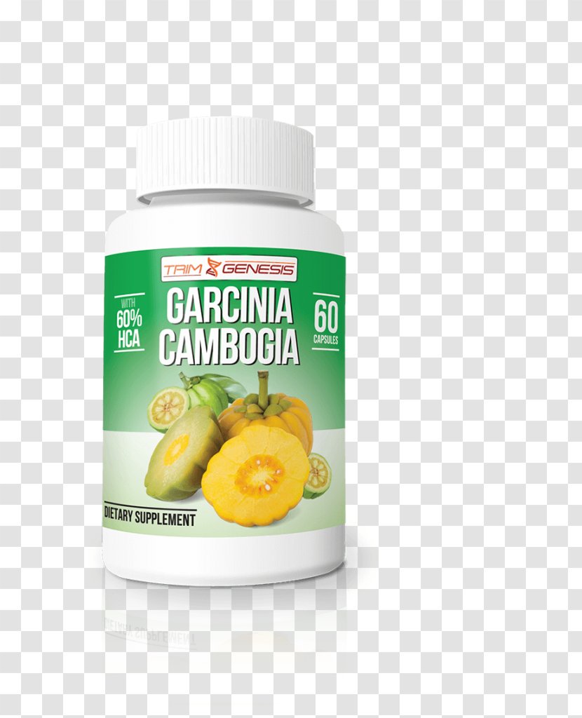 Garcinia Cambogia Dietary Supplement Health Weight Loss Hydroxycitric Acid - Forskolin Transparent PNG