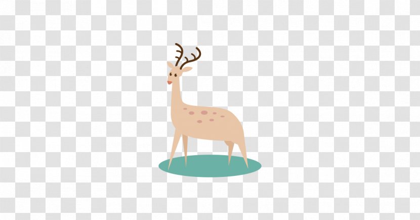 Deer Clip Art - Wildlife Transparent PNG