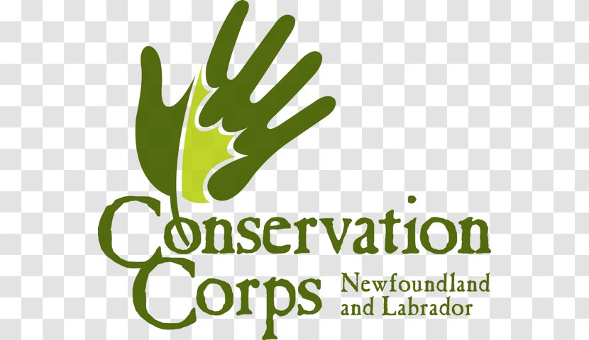 Conservation Corps Newfoundland And Labrador Dog Change Islands & Down Syndrome Society Retriever - Power Inc - Finger Transparent PNG