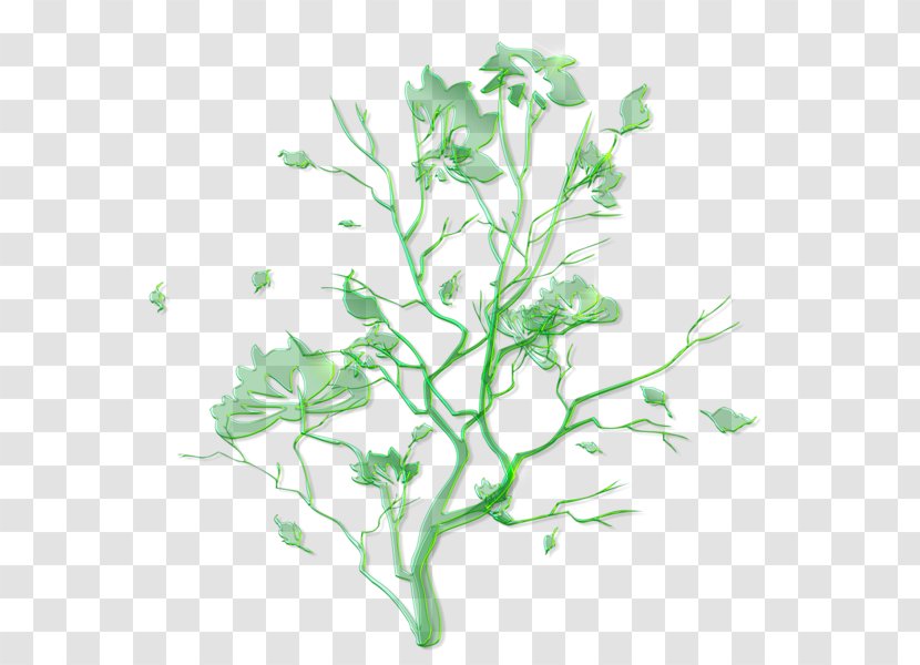 Floral Ornament Clip Art - Drawing - Green Transparent PNG