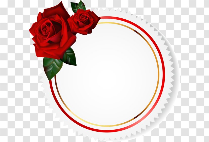 Garden Roses Clip Art - Floristry - Rose Transparent PNG
