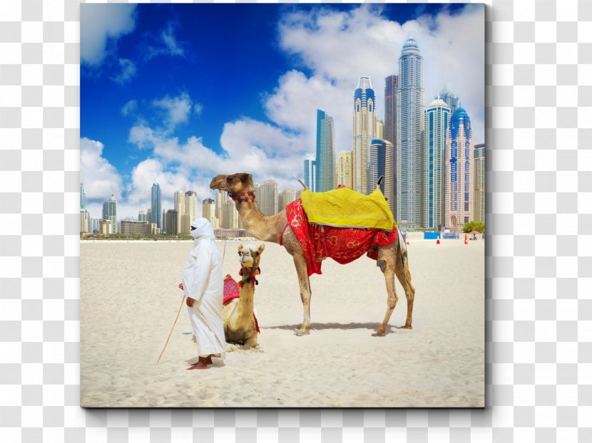 Dubai Abu Dhabi Package Tour Hotel Beach - Travel Transparent PNG