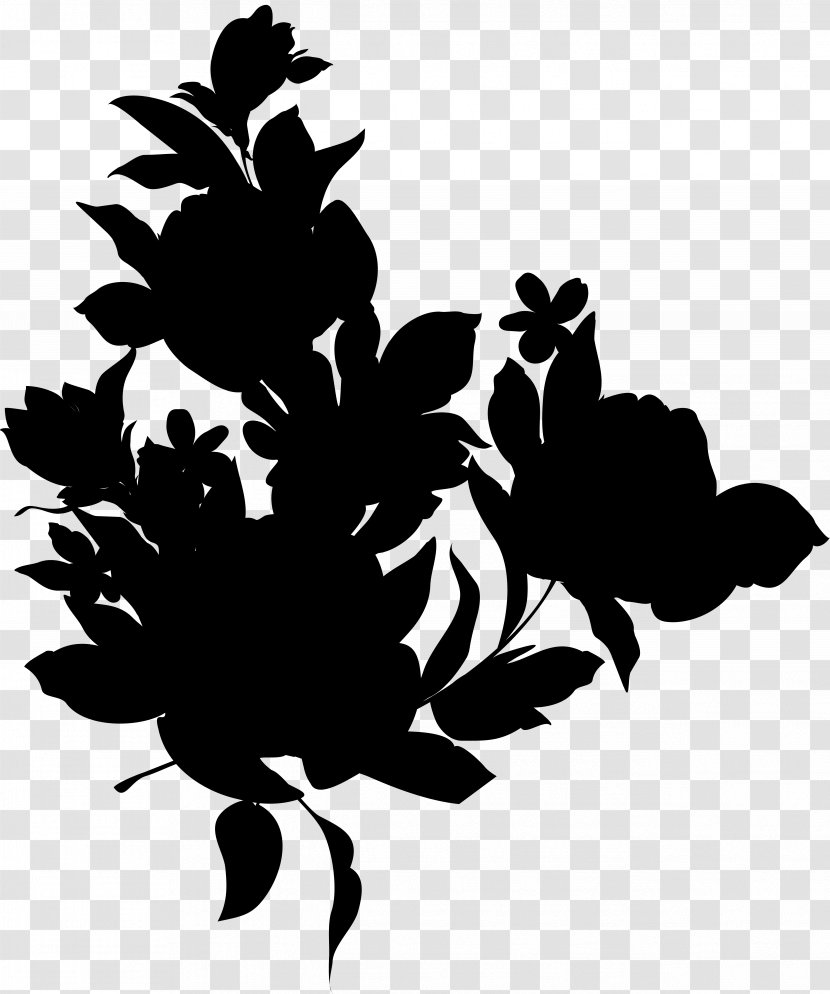 Rose Family Floral Design Leaf - Vascular Plant - Botany Transparent PNG