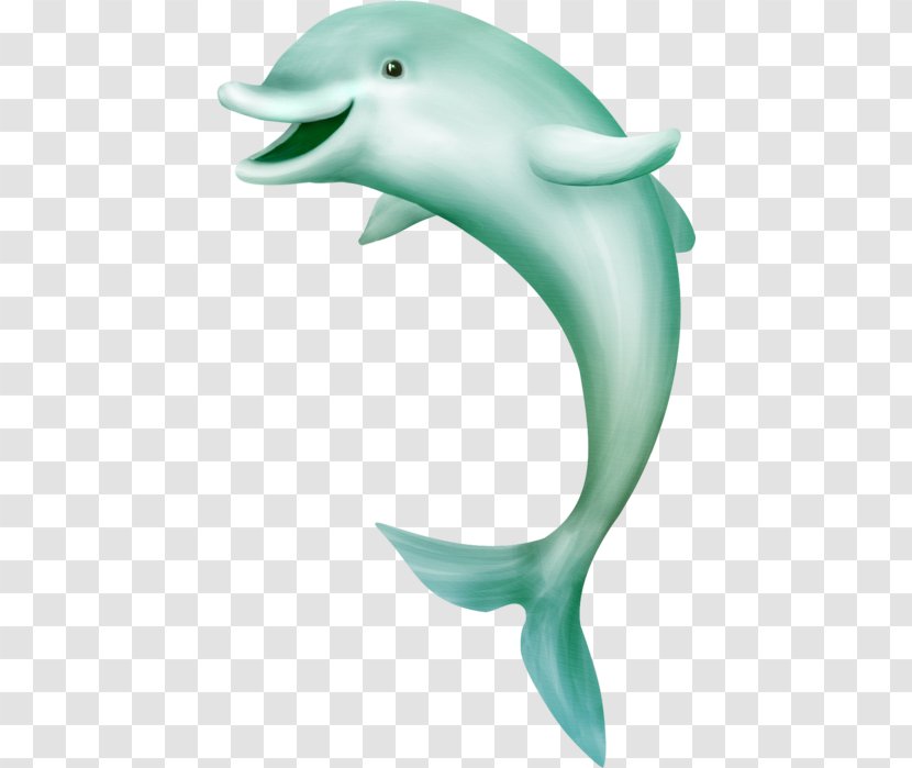 Sea Digital Image Drawing Clip Art - Cetacea Transparent PNG