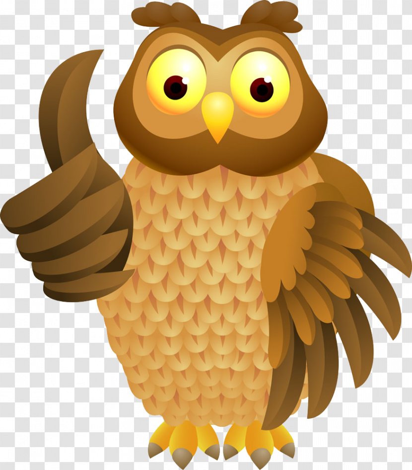 Cartoon Royalty-free Clip Art - Bird - Vector Owl Transparent PNG