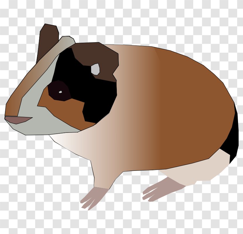Guinea Pig Rodent Clip Art - Rat - Cartoon Pictures Transparent PNG