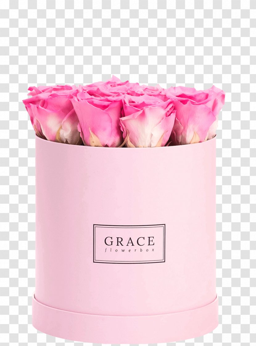 Flower Box English Rose Pink Blue Transparent PNG