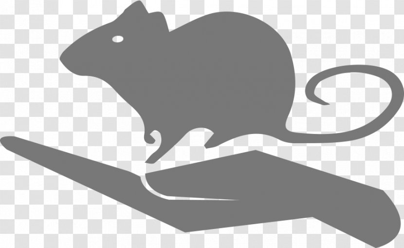 Whiskers Rat Mouse Cat Scientist - Rodent Transparent PNG