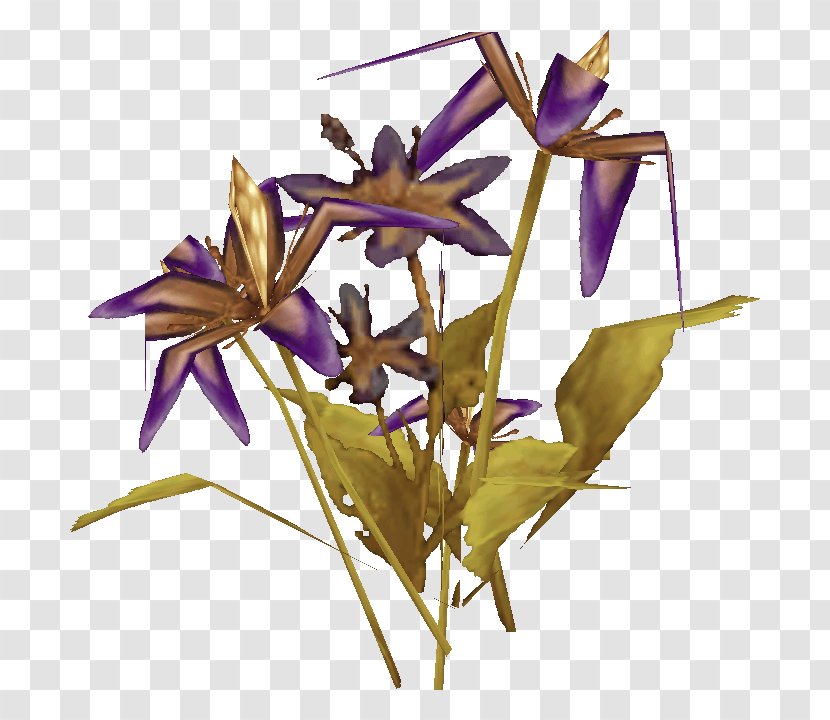 World Of Warcraft Herb European Union Flowering Plant Flora Transparent PNG