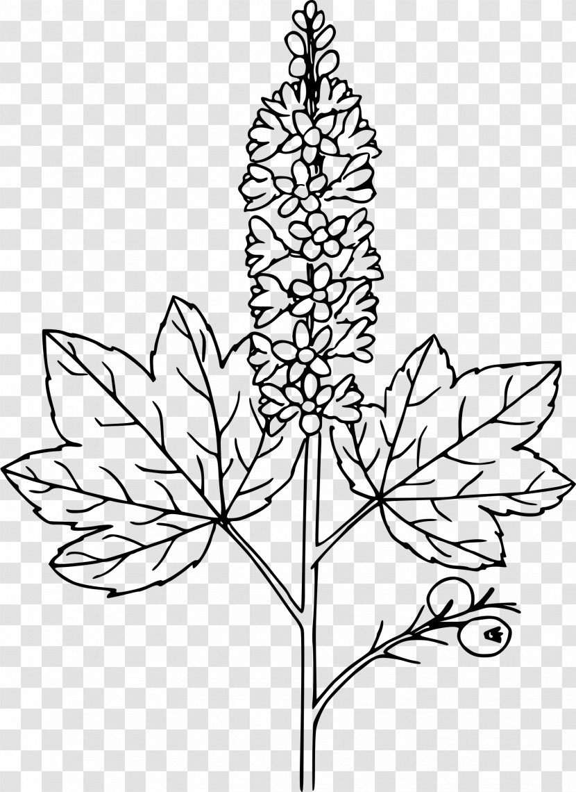 Clip Art - Plant Stem - Flowering Transparent PNG