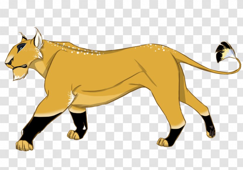 Cougar Lion Tiger Canidae Wildlife - Dog Like Mammal Transparent PNG