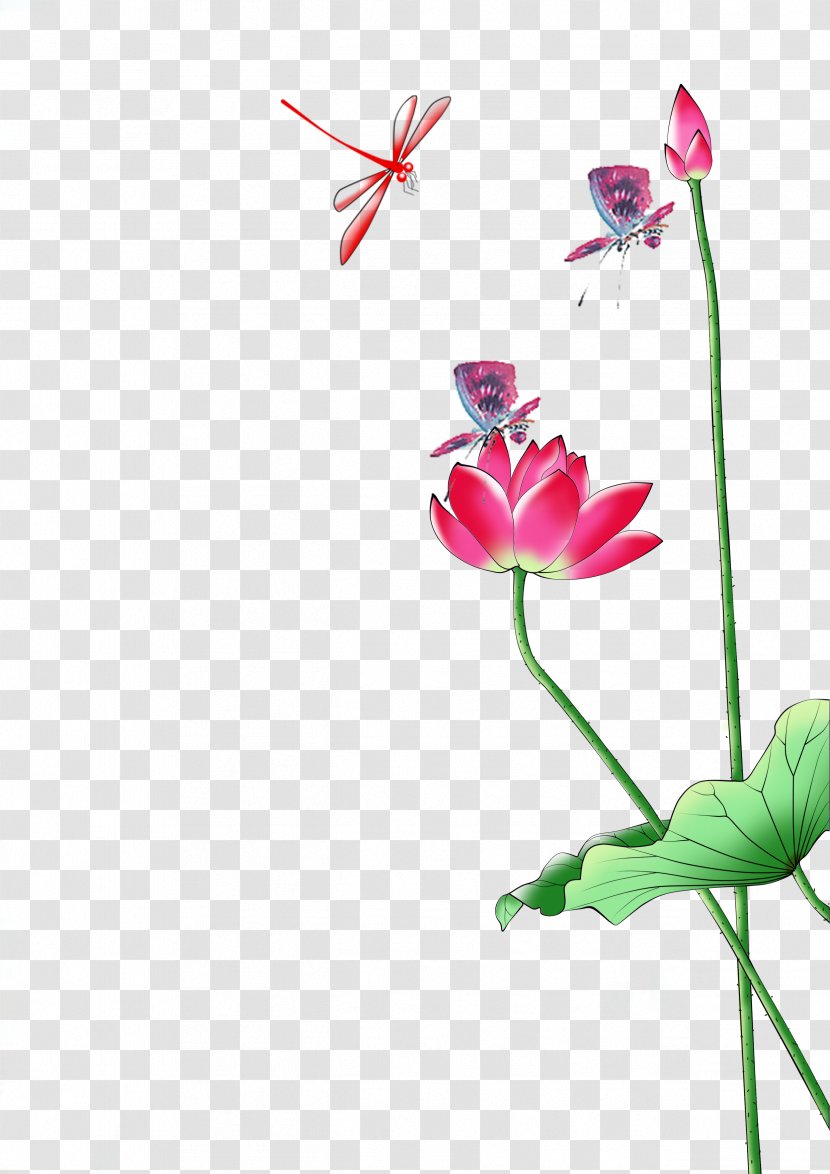 Nelumbo Nucifera Painting - Pollinator - Exquisite Lotus Transparent PNG