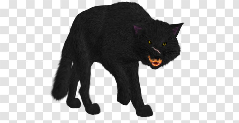 Whiskers Cat Fur Snout Puma - Hound Of The Baskervilles Transparent PNG