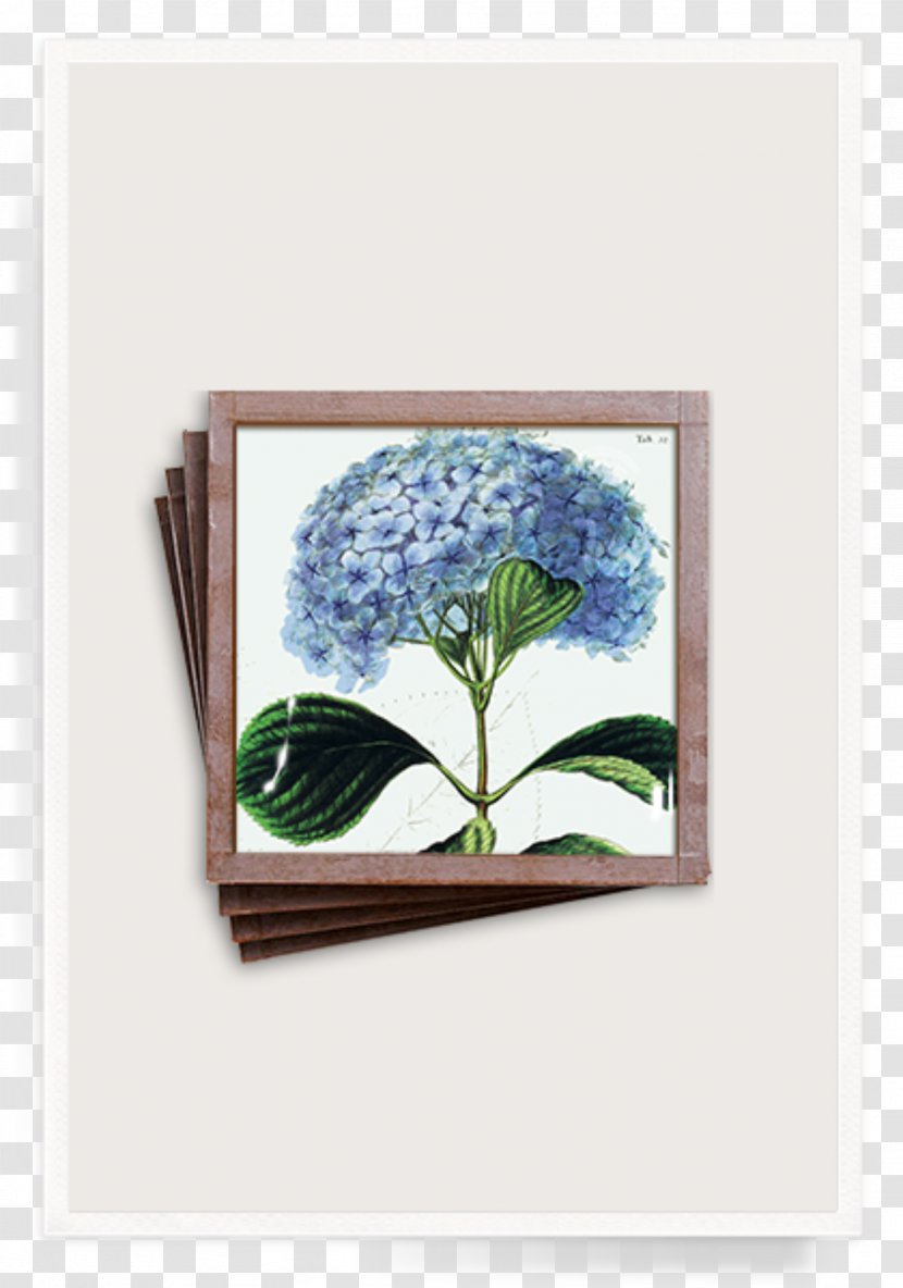 Ben's Garden 'Blue Hydrangea' Trinket Tray - Rectangle - Blue Painting French Hydrangea Flower Picture FramesHydrangea Transparent PNG
