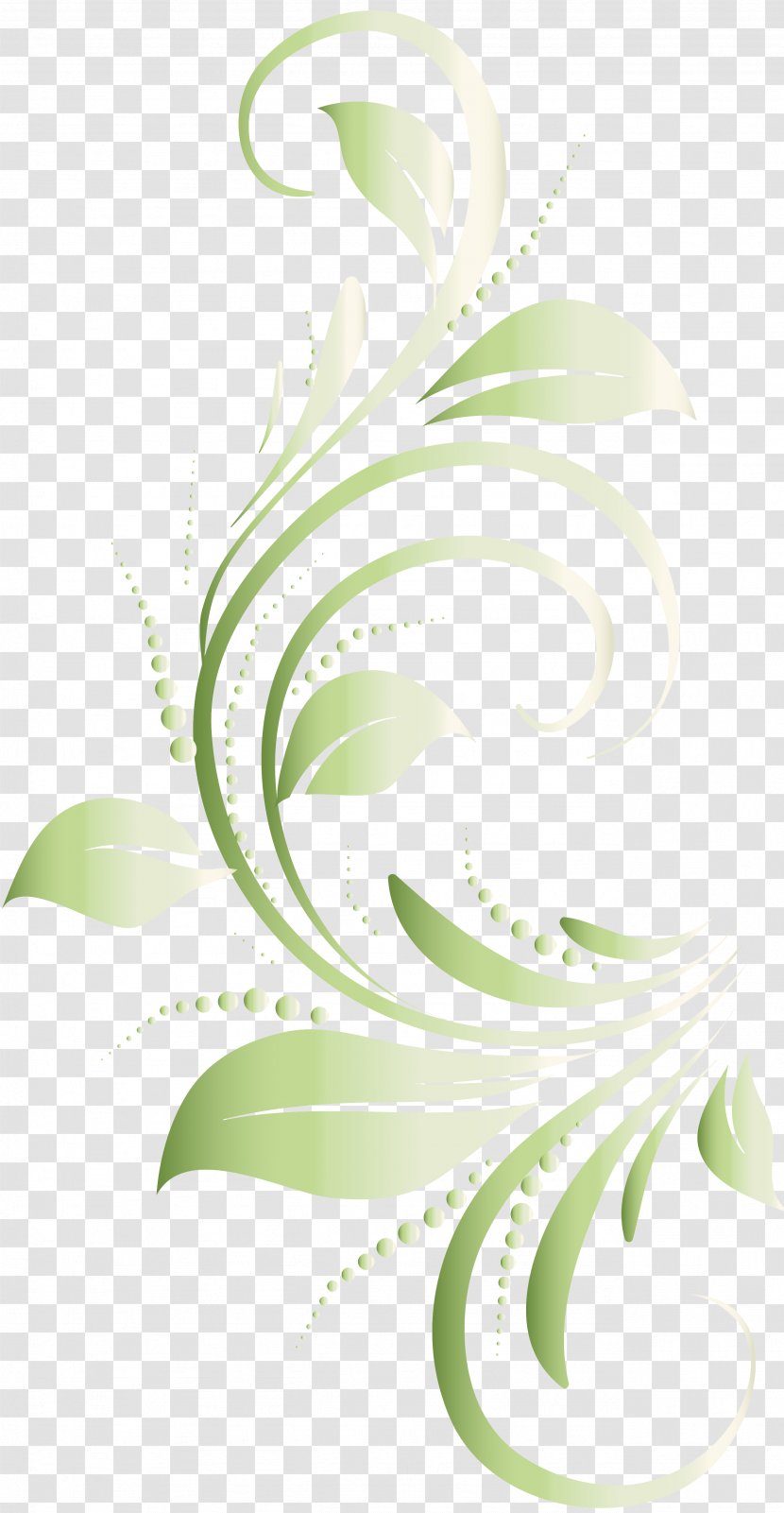 Floral Design Flower Graphic - Message - Green Transparent PNG