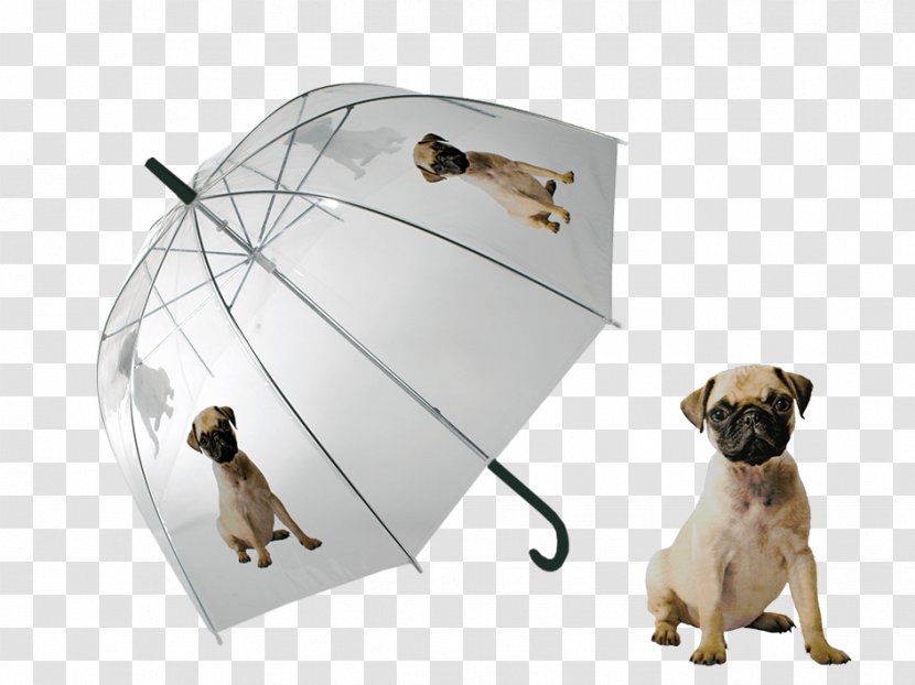 Pug Puppy Umbrella Dome Clothing Transparent PNG