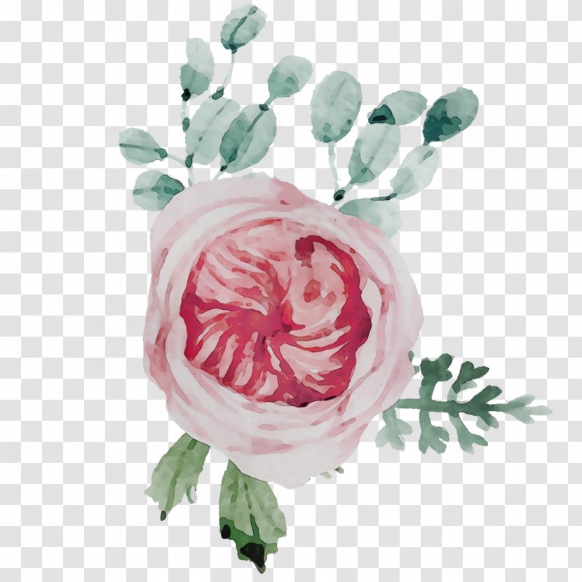 Blue Watercolor Flowers - Cabbage Rose - Persian Buttercup Paint Transparent PNG