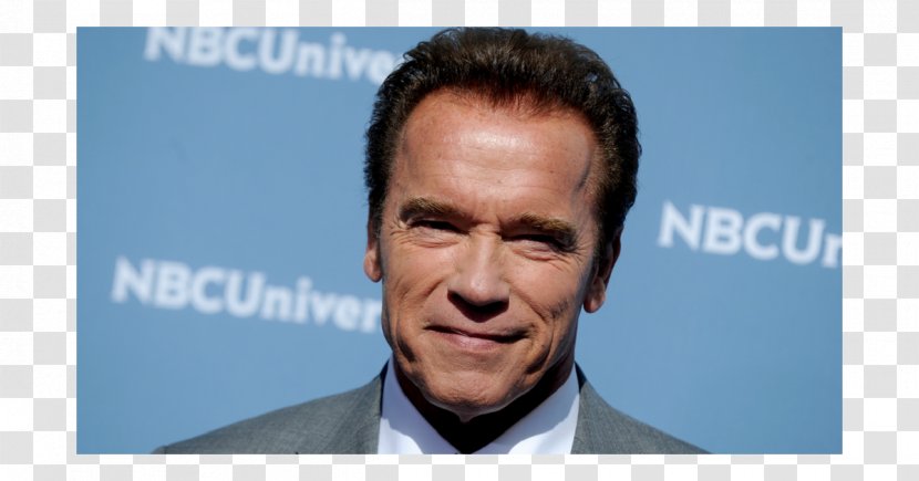 Arnold Schwarzenegger The Terminator Actor Entrepreneur Plungon - Facial Hair Transparent PNG