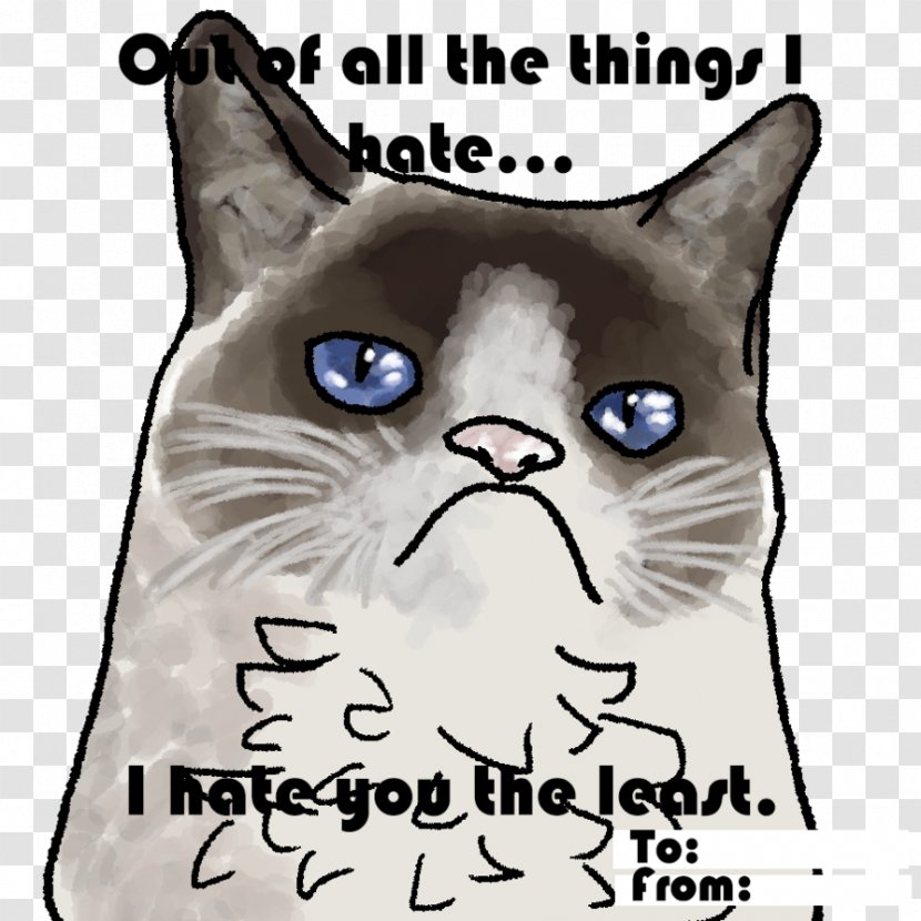 Whiskers You Know All The Answers, But Do Questions? Kitten Domestic Short-haired Cat - Watercolor Transparent PNG